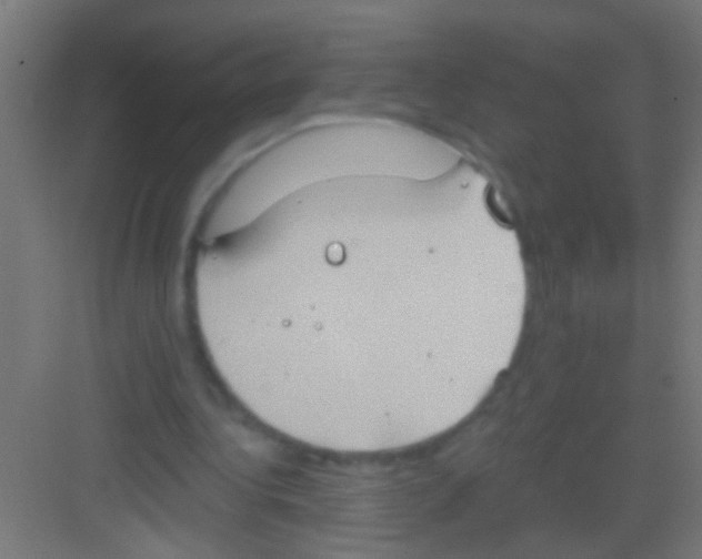 X0000081300340200702082050