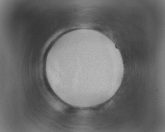 X0000081300342200702082050