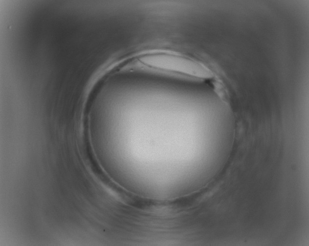 X0000081300344200702082050