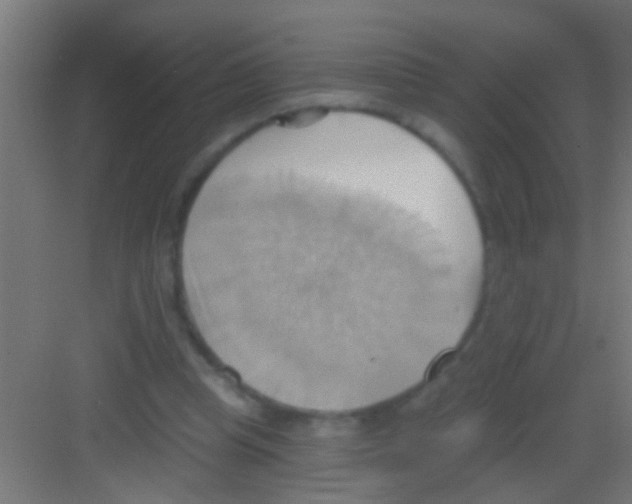 X0000081300345200702082050