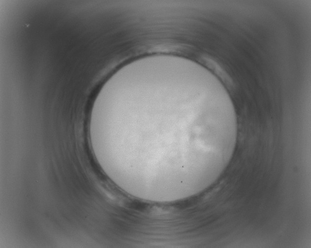 X0000081300346200702082050