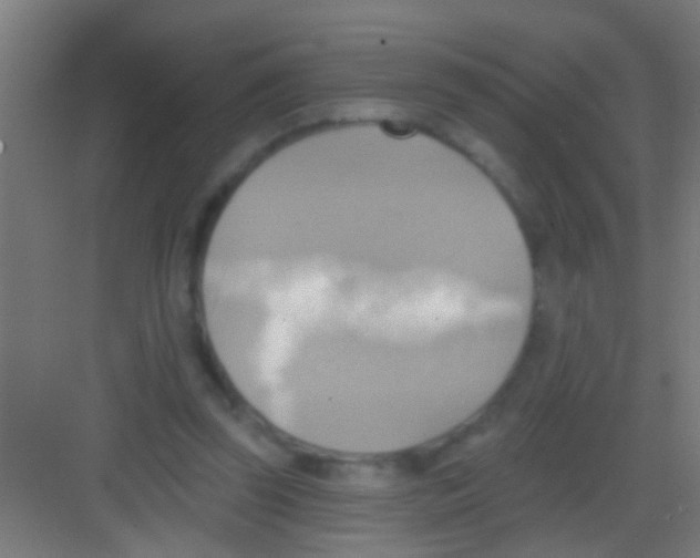 X0000081300347200702082050