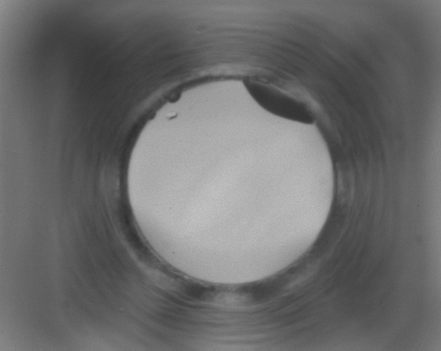 X0000081300348200702082050