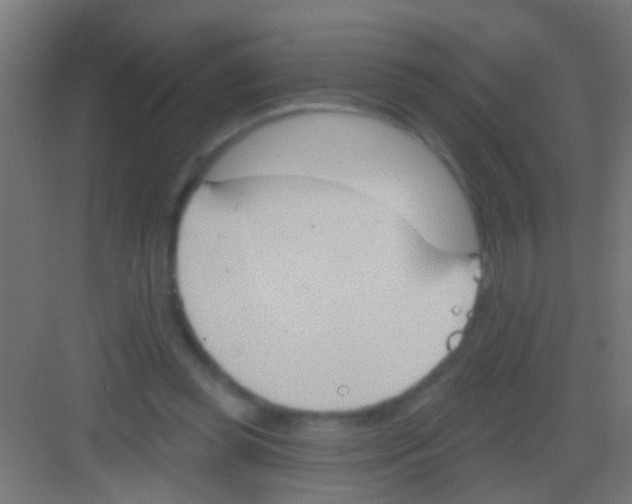 X0000081300349200702082050