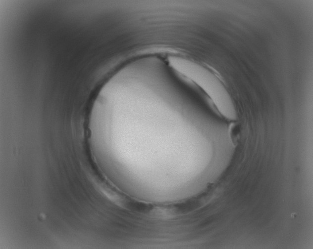 X0000081300350200702082050