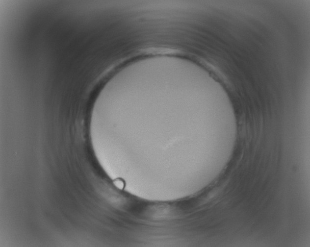 X0000081300351200702082050