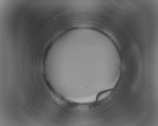 X0000081300353200702082050