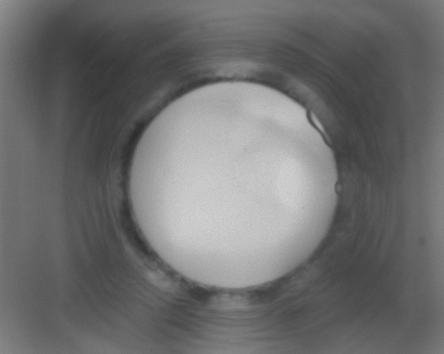 X0000081300354200702082050