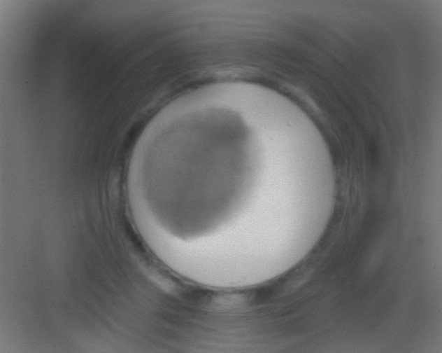 X0000081300357200702082050