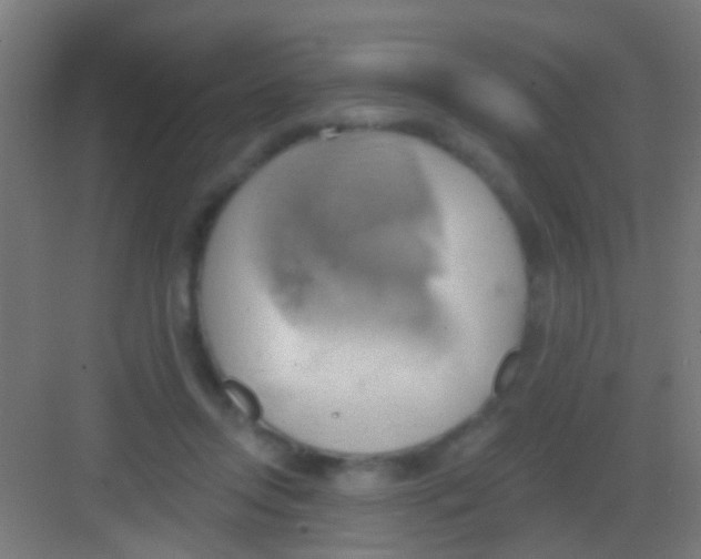 X0000081300358200702082050