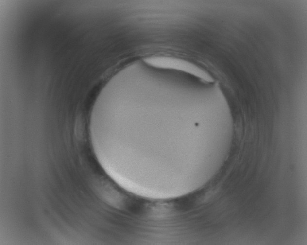 X0000081300359200702082050