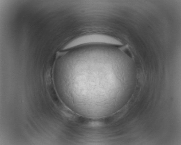 X0000081300360200702082050