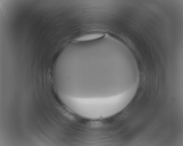 X0000081300361200702082050