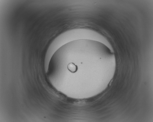 X0000081300362200702082050