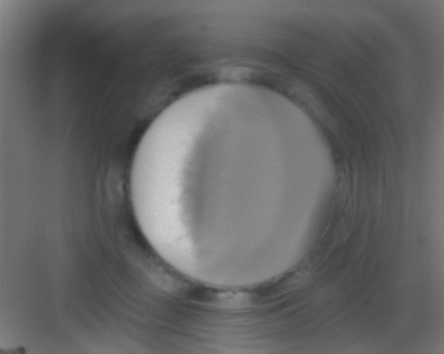 X0000081300363200702082050