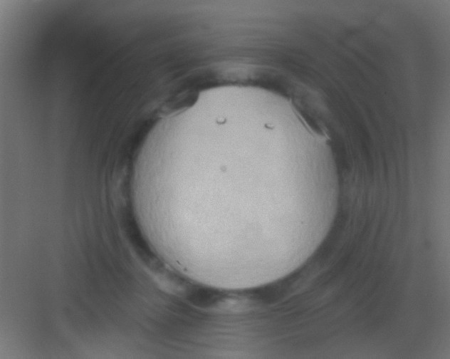 X0000081300364200702082050