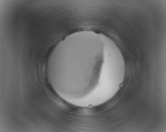 X0000081300365200702082050