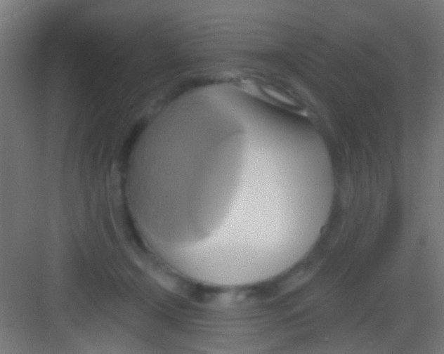 X0000081300366200702082050