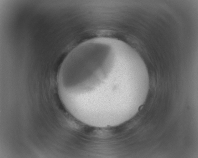 X0000081300367200702082050