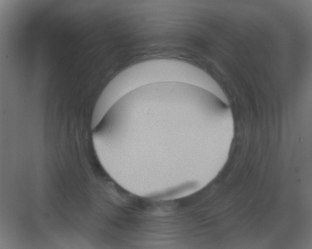 X0000081300368200702082050