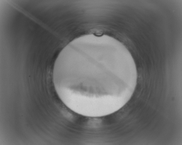 X0000081300369200702082050