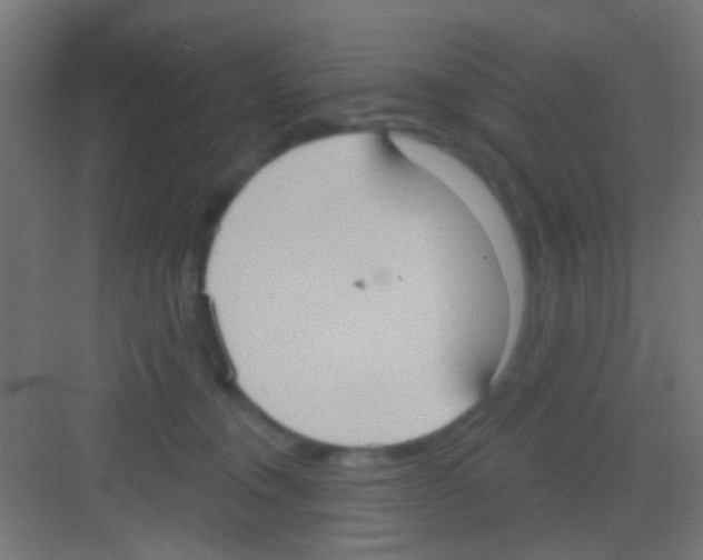 X0000081300372200702082050