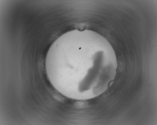 X0000081300375200702082050