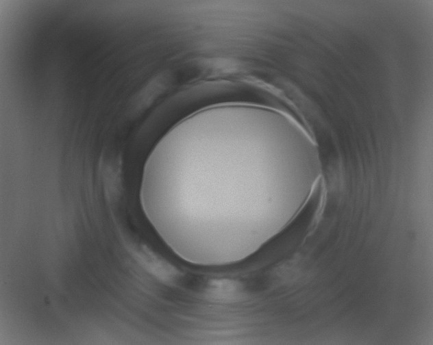 X0000081300376200702082050