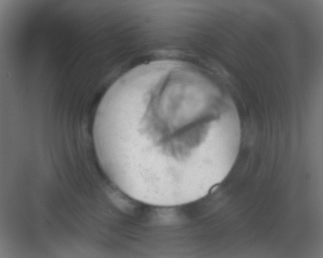 X0000081300377200702082051