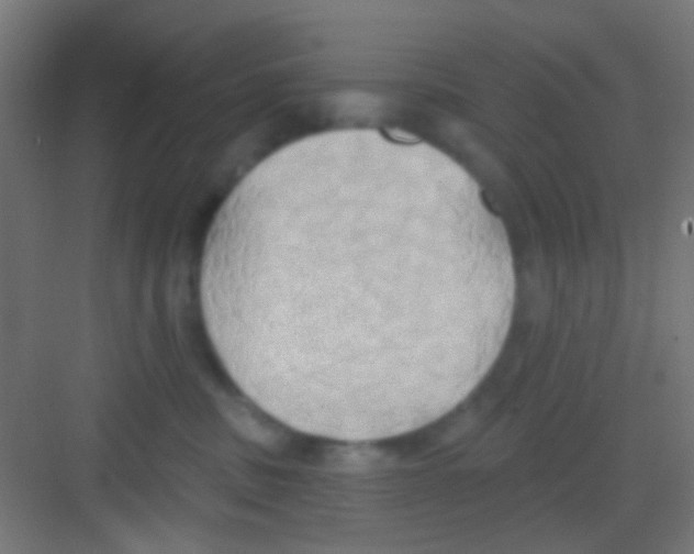 X0000081300379200702082051