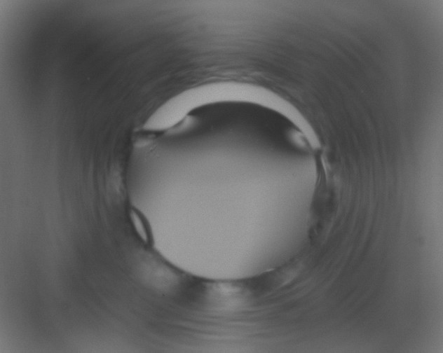 X0000081300380200702082051