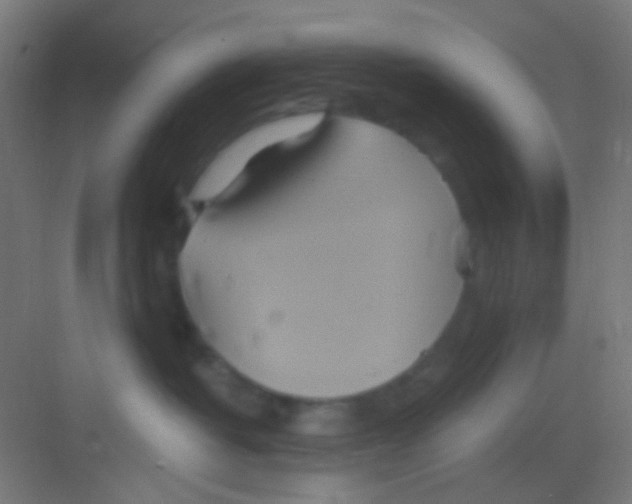 X0000081300382200702082051