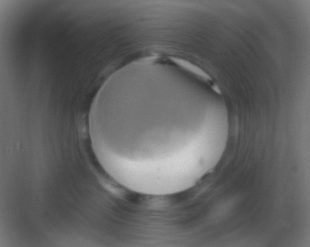 X0000081300383200702082051