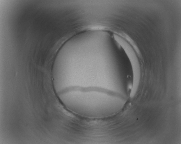 X0000081300385200702082050