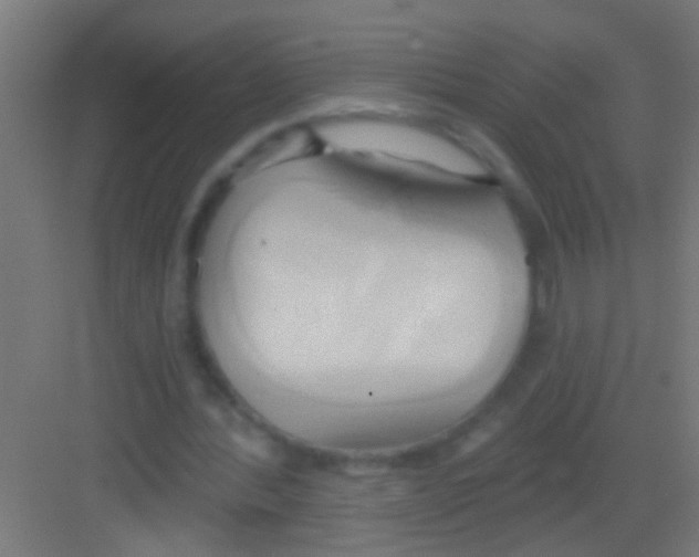 X0000081300388200702082050