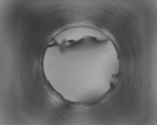 X0000081300389200702082050