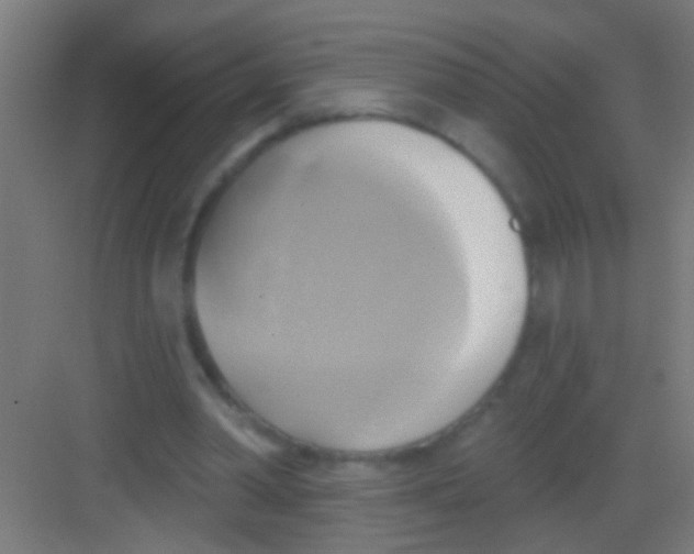 X0000081300390200702082050