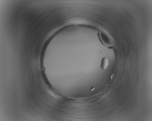 X0000081300391200702082050