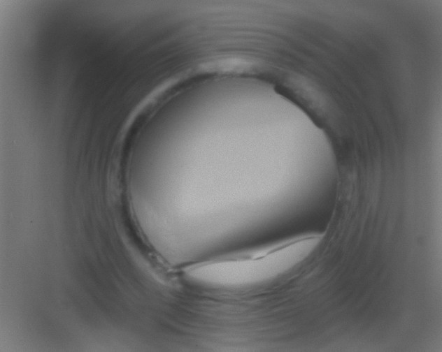 X0000081300392200702082050