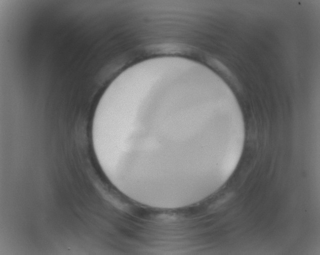 X0000081300394200702082050