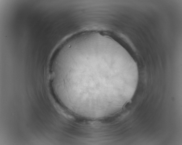 X0000081300395200702082050