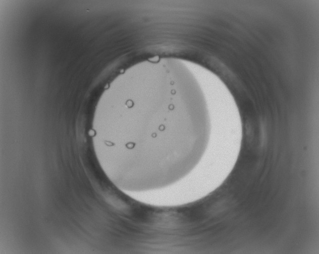 X0000081300396200702082050