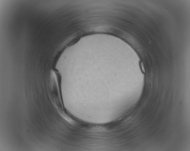 X0000081300397200702082050