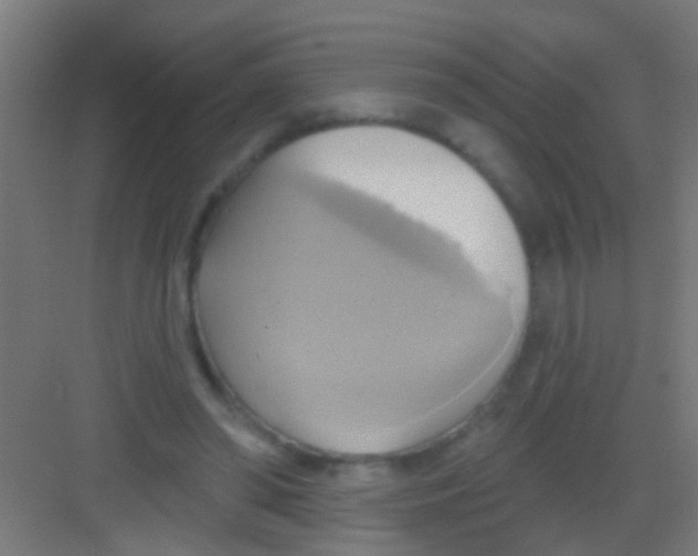 X0000081300398200702082050