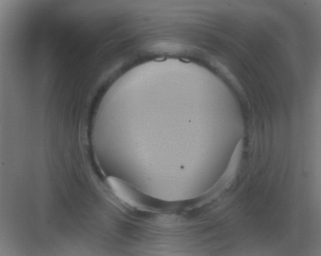 X0000081300399200702082050