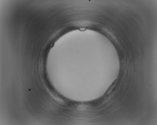 X0000081300400200702082050