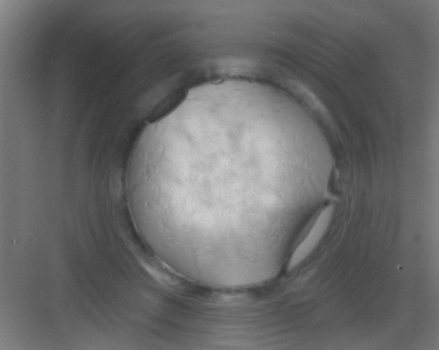 X0000081300401200702082050