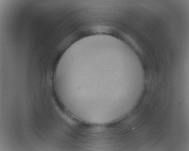 X0000081300402200702082050