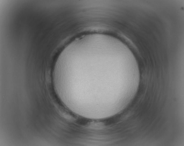 X0000081300403200702082050