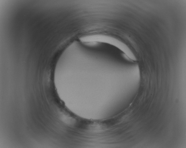 X0000081300404200702082050